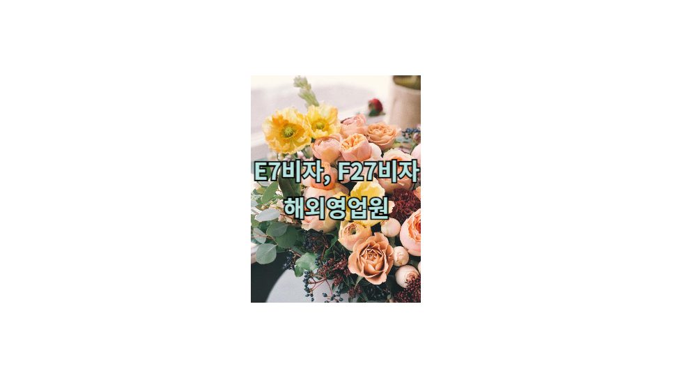 E7비자